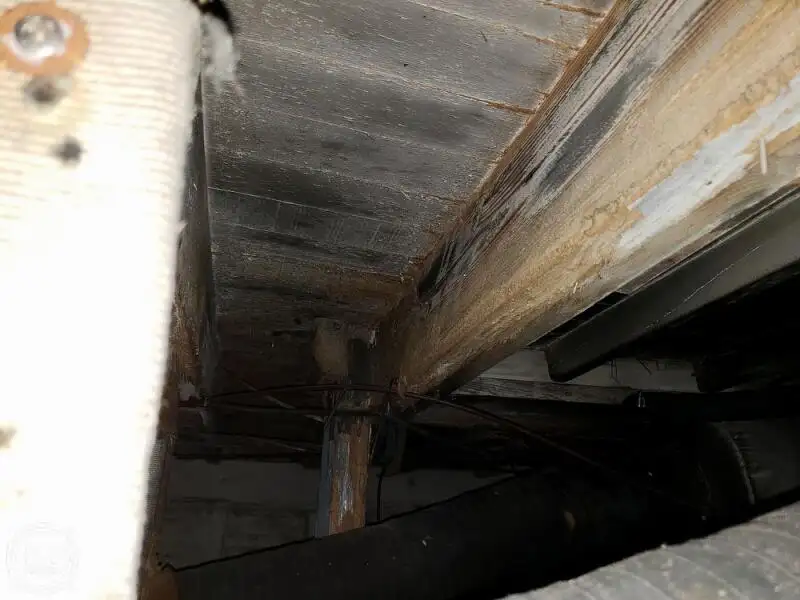 Veerboot te koop