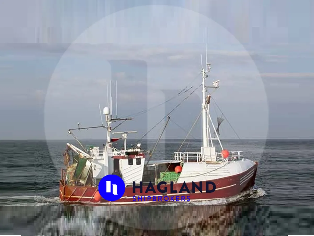 Levend vis transport schip te koop