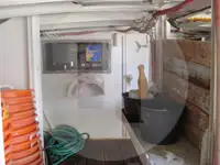 Levend vis transport schip te koop