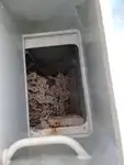 Veerboot te koop