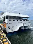 Catamaran te koop
