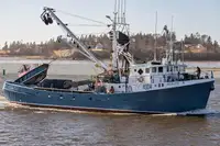 Purse seiner Te koop