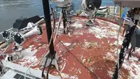 Sleperschip te koop