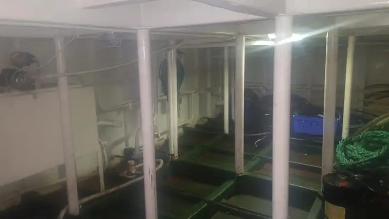 Ro-Ro-schip te koop