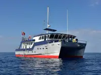 Sleepboot Te koop