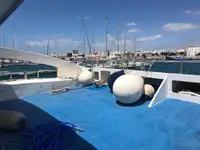 Catamaran te koop