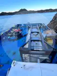 Vrachtschip Te koop