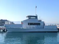 Catamaran Te koop
