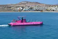Cruise schip Te koop