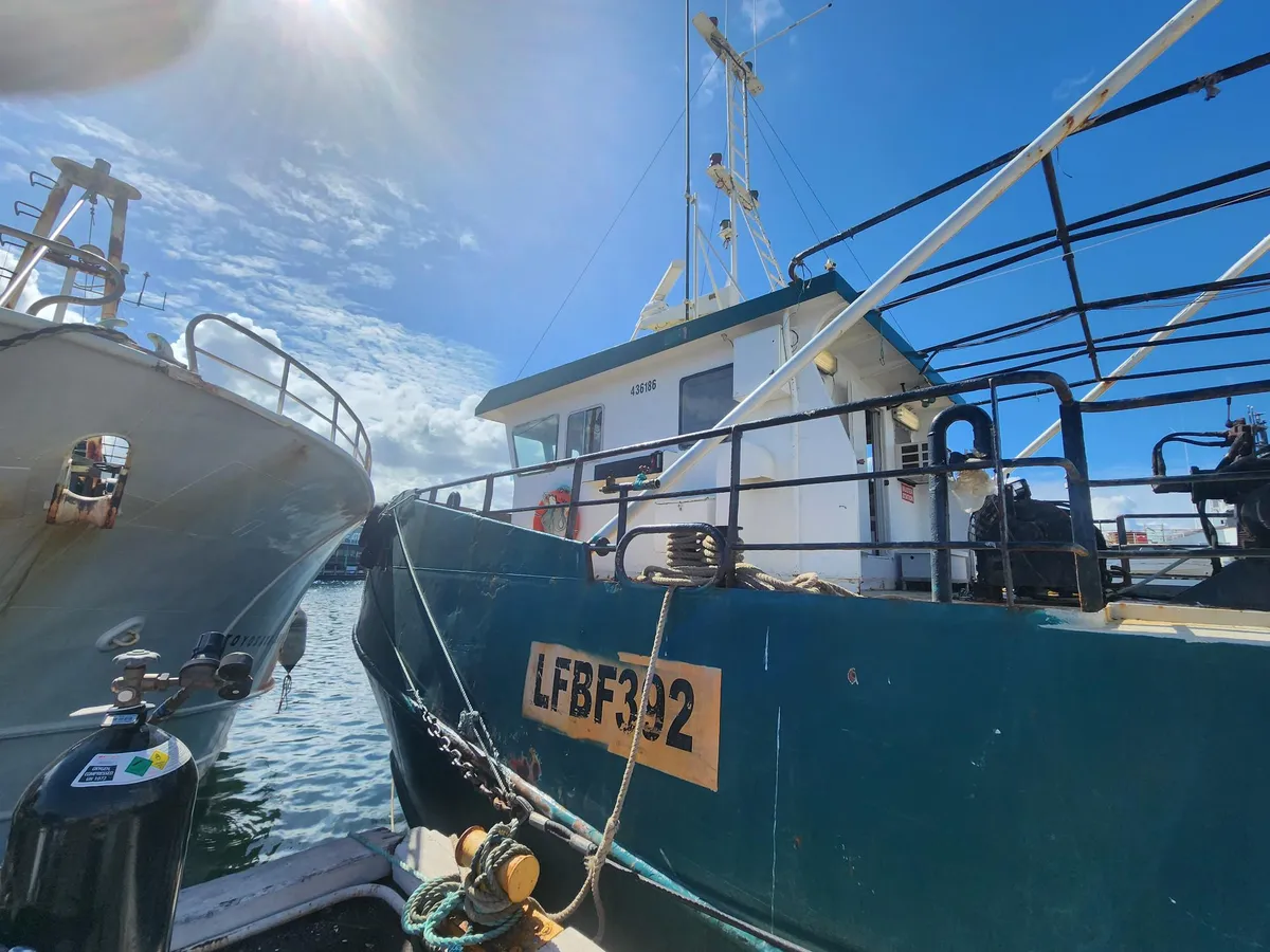 Trawler te koop
