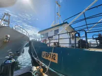 Trawler te koop