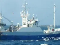 Trawler te koop