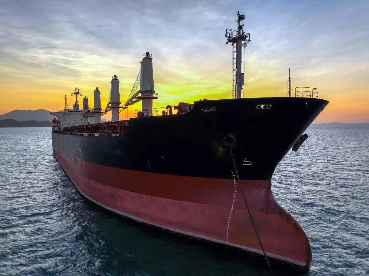 Bulkcarrier te koop