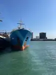 Koelschip Te koop