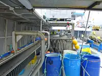 Longliner Te koop