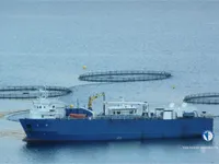 Koelschip te koop