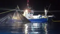Trawler te koop
