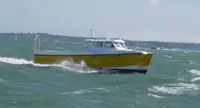 Catamaran te koop