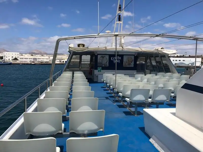 Catamaran te koop