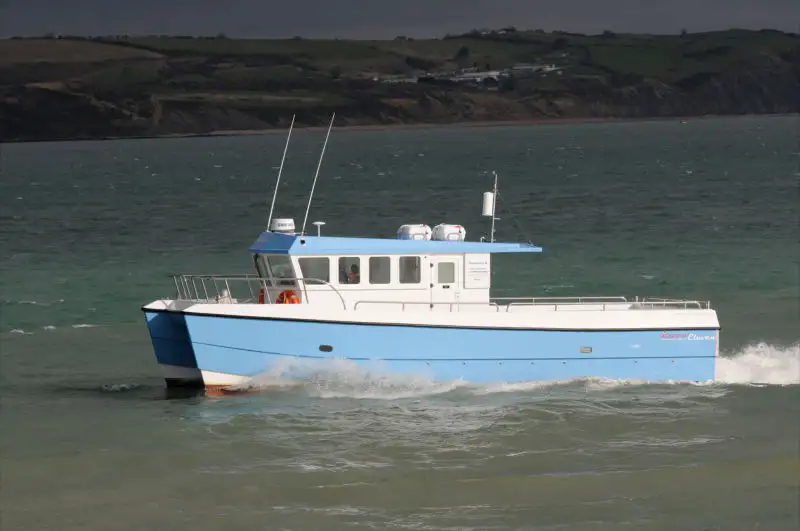 Catamaran te koop