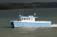 Catamaran Te koop