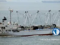 Koelschip te koop