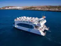 Catamaran Te koop