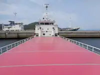 Bulkcarrier te koop