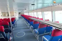 Catamaran te koop
