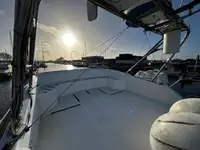 Catamaran te koop