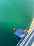 Veerboot te koop