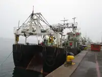 Trawler te koop