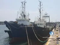 Trawler te koop