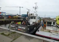 Werkboten Te koop