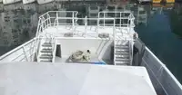 Catamaran te koop