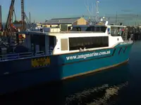 Catamaran Te koop