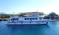 Catamaran Te koop
