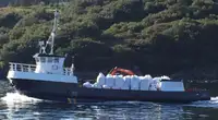 Werkboten te koop