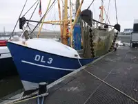 Trawler te koop