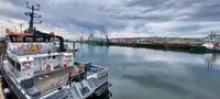 Catamaran te koop