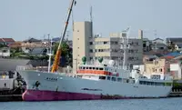 Trawler te koop