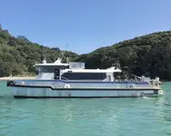 Catamaran Te koop