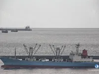 Koelschip te koop