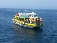 Veerboot te koop