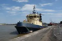 Sleepboot Te koop
