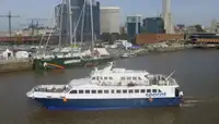 Catamaran Te koop