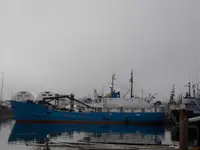 Bulkcarrier te koop