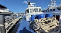 Patrouilleboot te koop