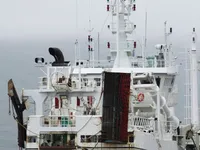 Trawler te koop