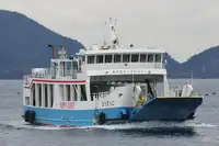 Ro-Ro-schip te koop
